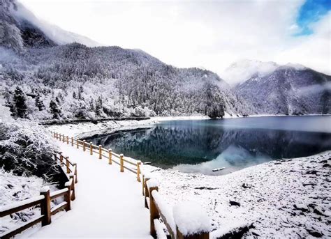 冬天去九寨溝怎麼樣，難道不是為了看雪中的熊貓嗎？